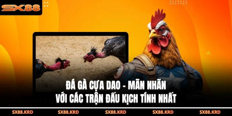 đá gà cựa dao